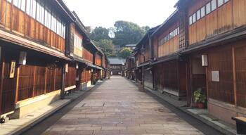 The Higashi Chaya District is the largest of three in Kanazawa and the most interesting.