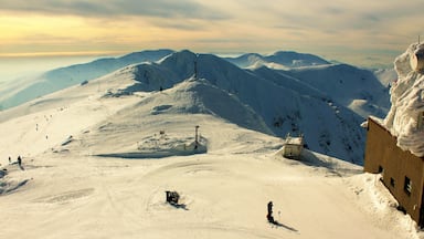 I was atop Mt. Chopok, in the Low Tatras Mountains. Chopok is at 2,024 m (6,640 ft) and is the 3rd highest peak of the Low Tatra Range. The views were truly breathtaking from there! Including the meteorological observatory tower covered in snow. But, most of my time in Slovakia was in the High Tatras. The mountains there are even bigger and more epic. I was based in the small city of Poprad and took trips every day. I was in Slovakia in September 2015, too. But this was my 1st time in winter! And with a good camera ;). I also had a wonderful time in Budapest, as well! My very 1st time there. But, while I spent most of my time in the High Tatras I loved being in the Low Tatras! The mountains were absolutely magnificent! And I came to Chopok at a perfect time of day :).
I took this photo in March 2018.