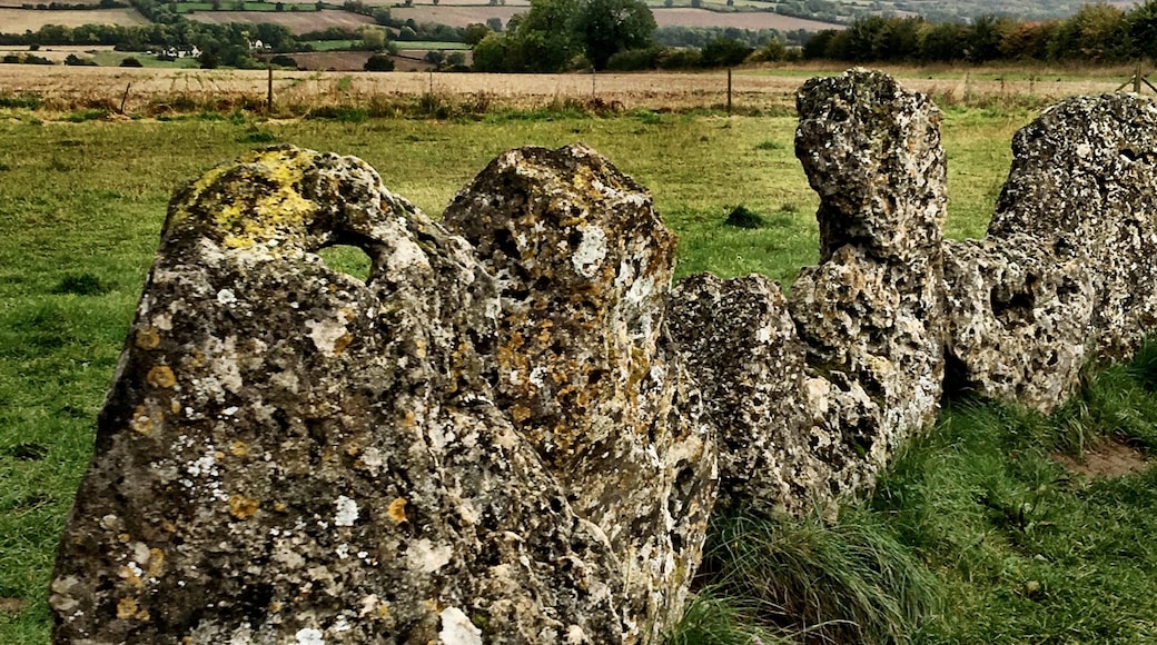 Rollright Stones (steinhringur), Chipping Norton, England, Bretland