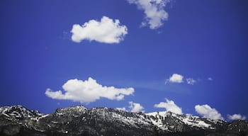 Awe...the Sierra Nevada. 🌲