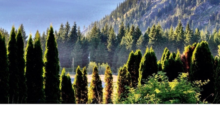 Beautiful BC Landscape