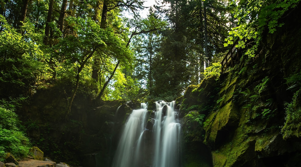 Lebanon, Oregon, Amerika Syarikat