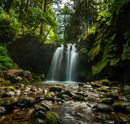 value: "McDowell Creek, Mystic Falls. Had a great hike and was rewarded with this beautiful image. \n\n#bthroughthelens #Oregon #waterfalls #green"
