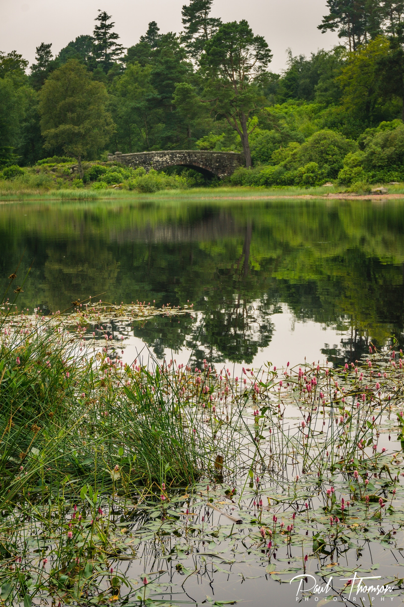 Visit Rothbury 2024 Travel Guide for Rothbury, Morpeth Expedia