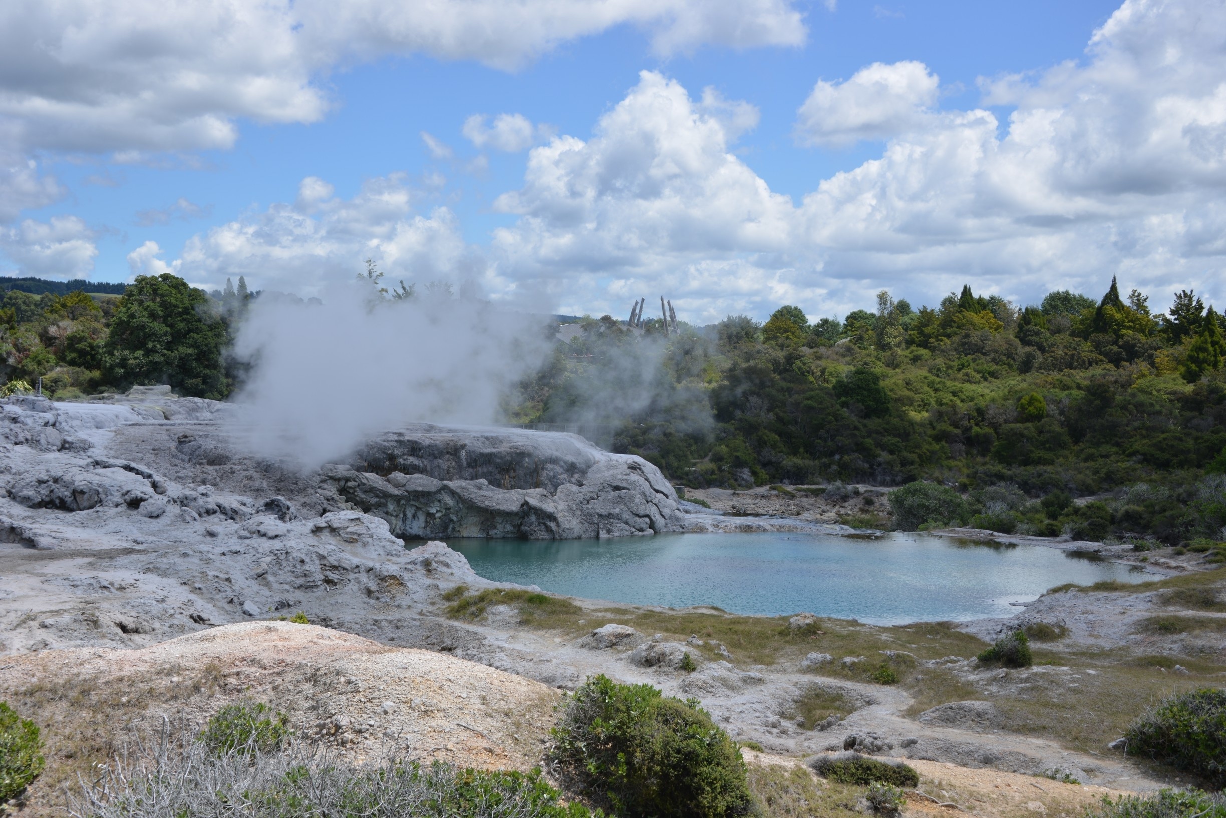 Amazing sight, the hot springs in this traditional Maori village. Very smelly!