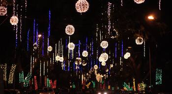 #NewYearLights
#Mumbai
Lighting for New Year Celebration