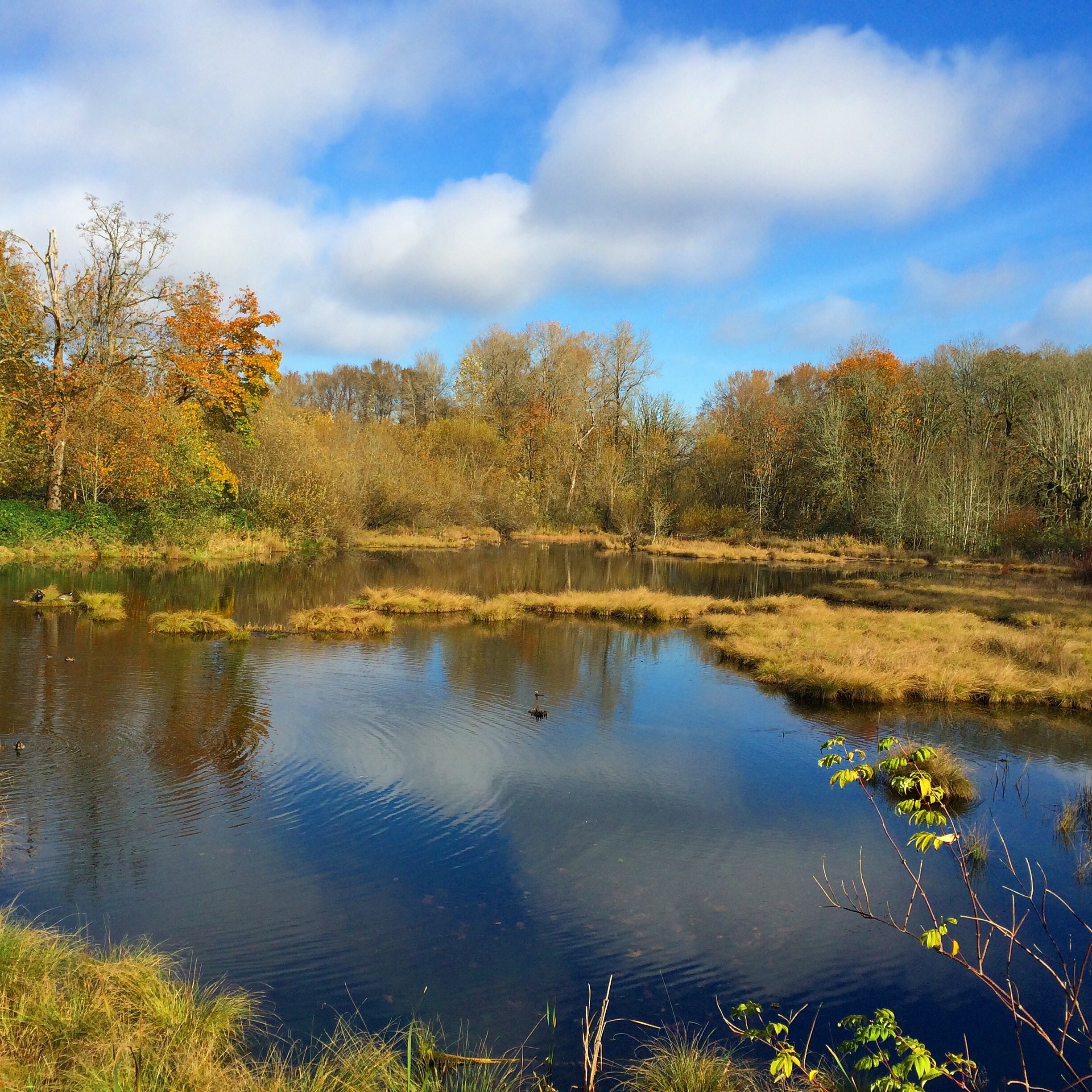 Visit Lacey 2021 Travel Guide for Lacey, Olympia Expedia