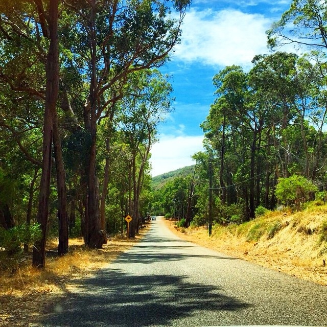 This was a road along the way to Serpentine Falls. You can see the very much ubiquitous kangaroo road sign in this shot. 