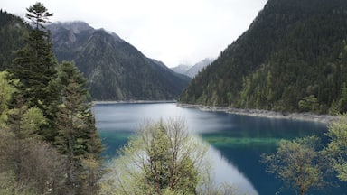 Jiuzhaigou National Park in China has the most clear water in its colorful lake. It is truly beautiful. I wish I will be able to see this place during fall, when all the trees turn orange and yellow.

It is very popular amongst the Chinese people, but the area is quite large so it doesn't feel crowded.

#china #nature #landscape #NationalPark #hiking #colorful #jiuzhaigou #BestOf5
