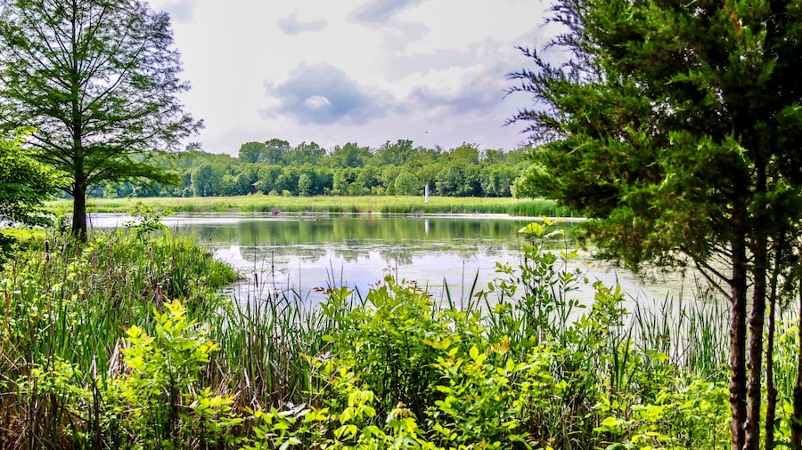 Edwardsville Watershed Nature Center