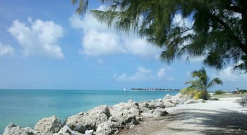 Great location for great pictures, very nice beach 