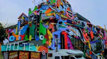 Hotel of beauty youth creative, Bratislava
#slovakia #bratislava #coloredlife #followingthecompass