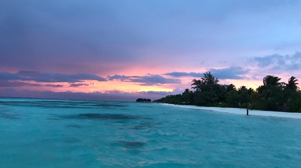Ilha Dhidhoofinolhu, Atol de Ari do Sul, Maldivas