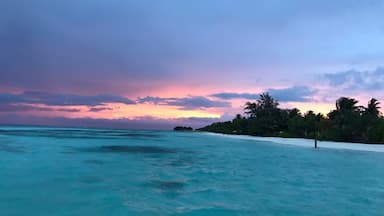 Magical view around the Beach #LUX* South Ari Atoll, Maldives
#LifeAtExpedia