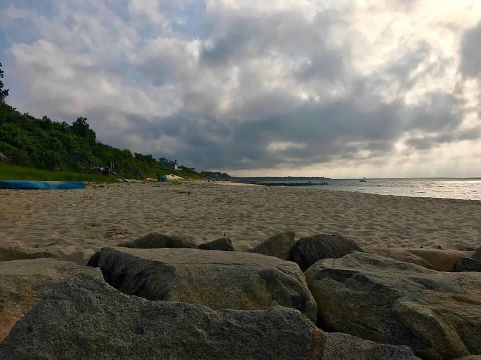 are dogs allowed at brewster town beaches