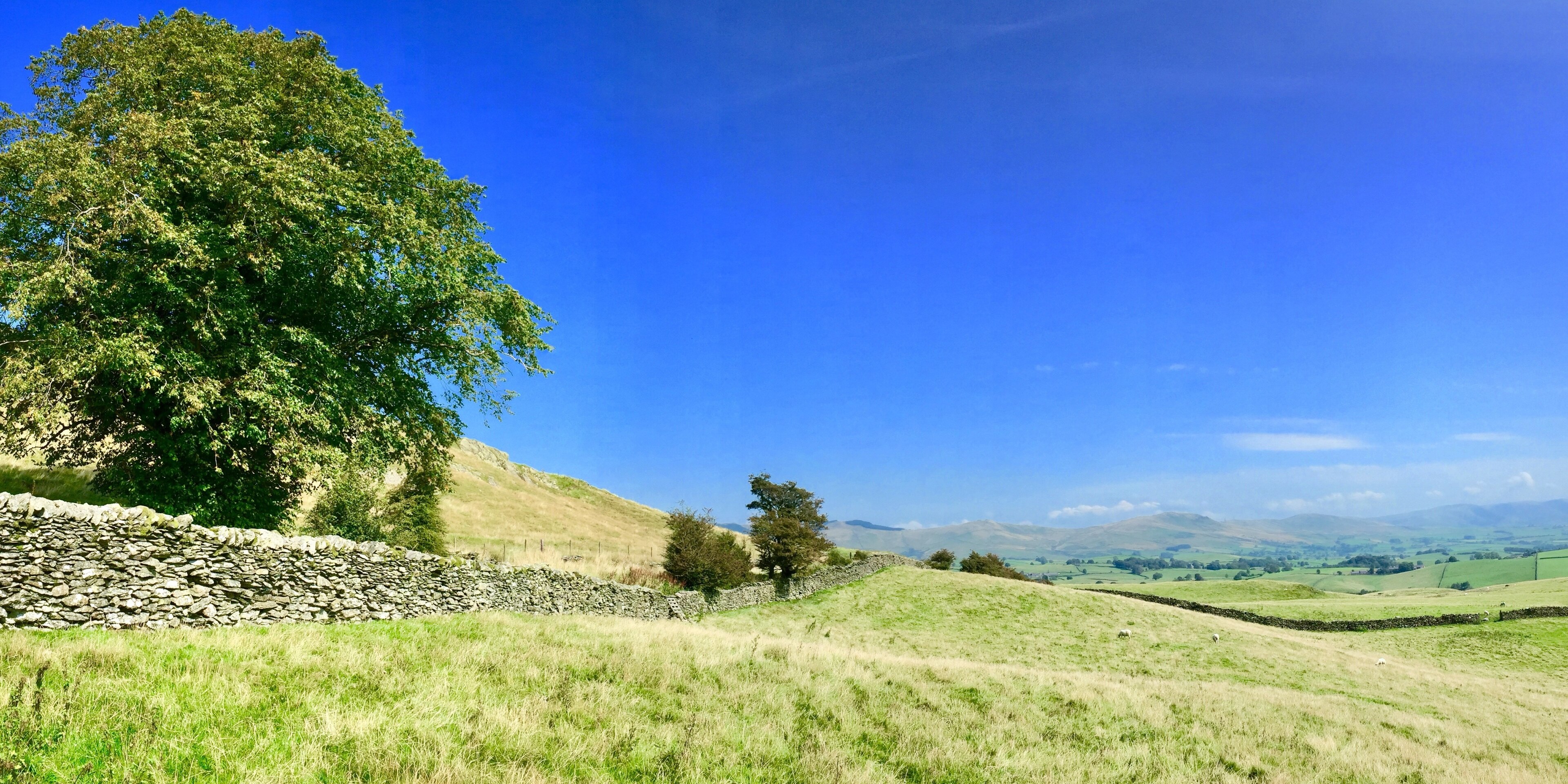 Billede taget af Kathy Appleby