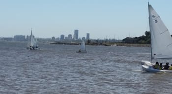 Sailing and Montevideo skyline