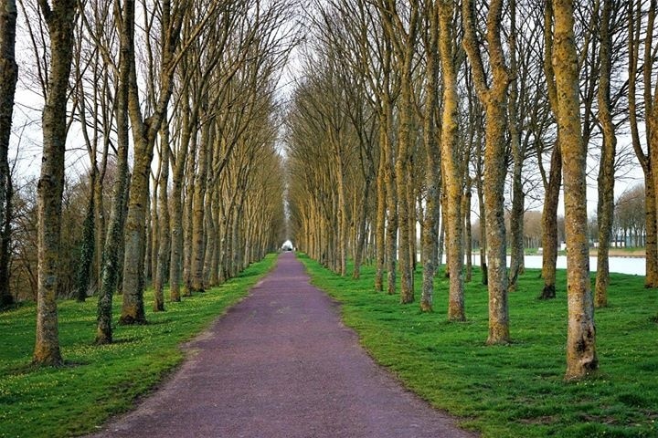 Canal trail near Carentan, France.