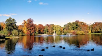 This park with a beautiful lake in center, surrounded with the trees looks even more beautiful in Autumn! 🍂 #fall #LifeAtExpediaGroup #autumn #wroclaw