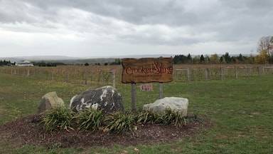 Great little winery. Family owned so be ready to chat a bit if it’s slow. They have an excellent semi-dry white, Frontenac Gris, and I really liked the semi-dry red, Tip of the Mitt 🍷