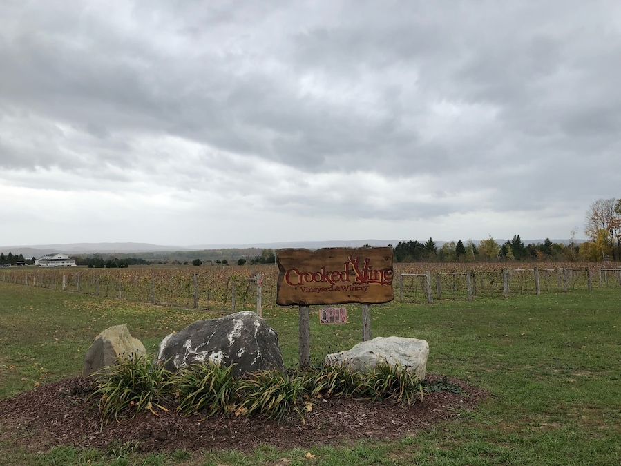 Great little winery. Family owned so be ready to chat a bit if it’s slow. They have an excellent semi-dry white, Frontenac Gris, and I really liked the semi-dry red, Tip of the Mitt 🍷