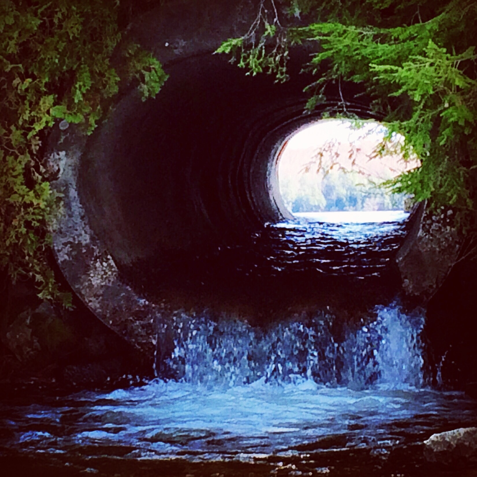 #TunnelVision #pristine #wilderness #ADKs #upstateNY