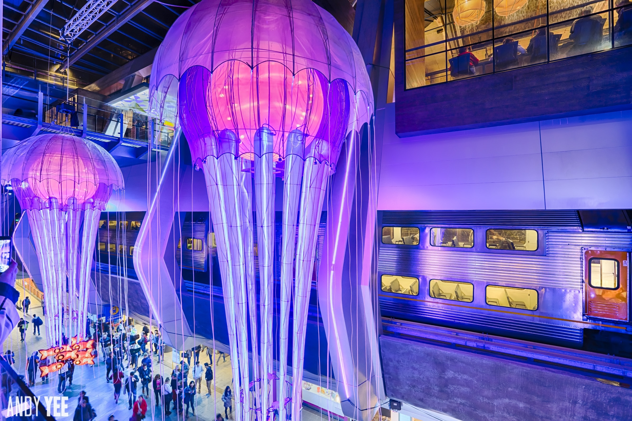 Vivid Sydney has Jellyfish as big as trains! 

#chatswoodinterchange #vividsydney @VividSydney @ChatswoodInterchange @willoughbycity #traveltherenext @traveltherenext #troveon #chatswood