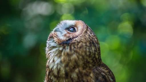 Valokuva: Michaela Mala