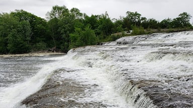 Falls on the Trent River