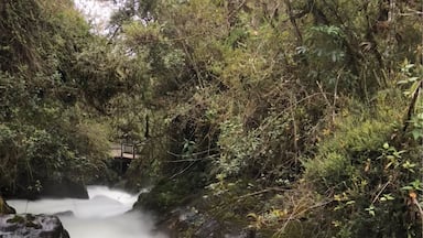 Nice cooling hike in Ecuador’s highlands 