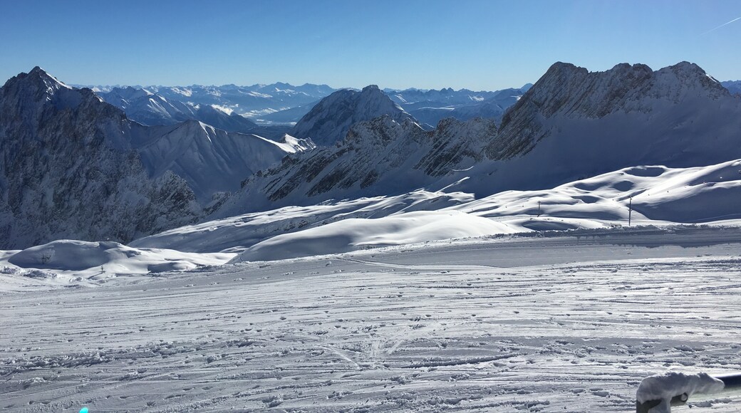 Photo by Denise Bradley