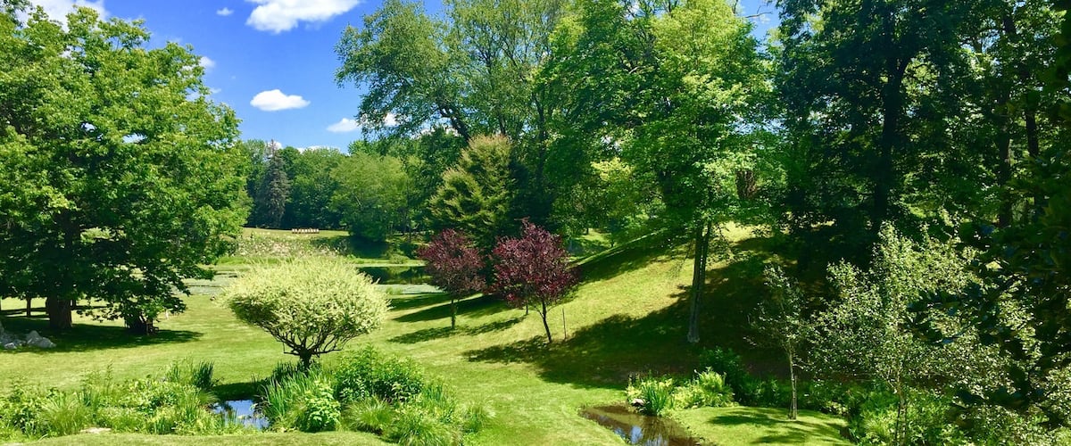 Just a sneak peak at a most wonderful gem of a garden...