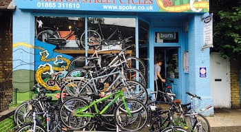Really friendly shop to rent a road bike and get some advice on routes. David helped me get set up.  Call ahead to make sure they have a bike that works for you.  From here I did about 50 mile RT to Henley.  I posted some related photos from different points along the ride.  Have fun!