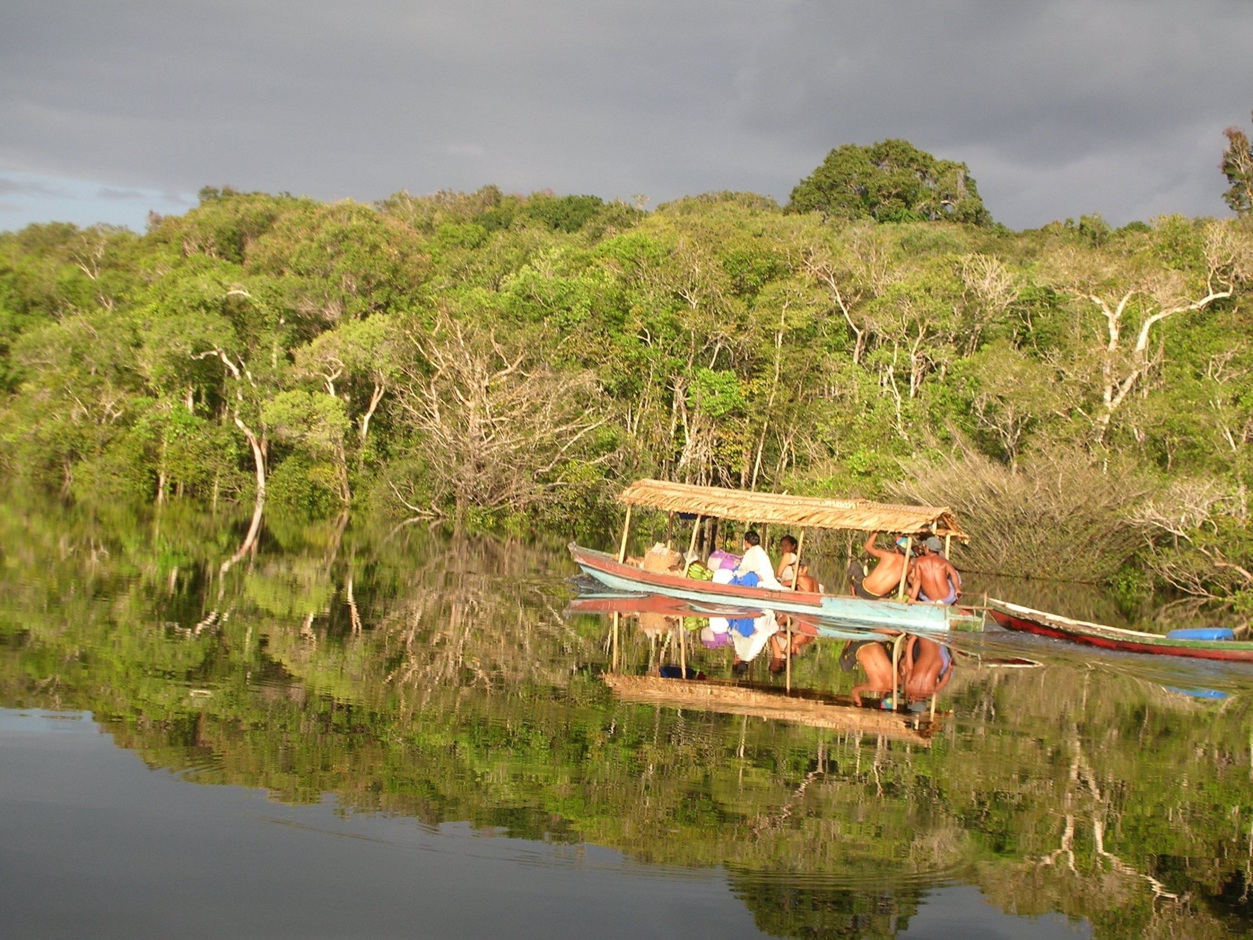 #brazil #river #amazon #rainforest #blue #reflection #green
2009