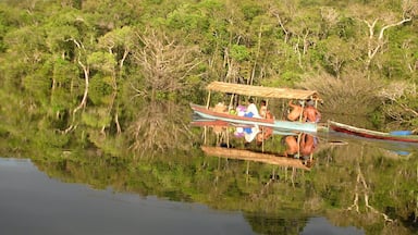 #brazil #river #amazon #rainforest #blue #reflection #green
2009
