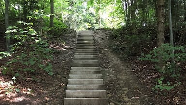 A Vita Parcours is a marked path in a forest  in Switzerland with exercise stations every once in a while. It can be used free of charge by anyone 