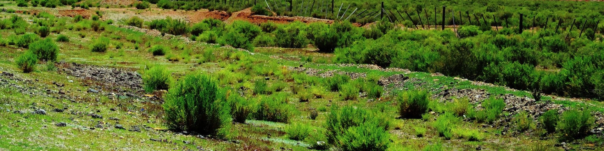 On our way to Abra Pampa, this stunning mountains! #Roadtrip