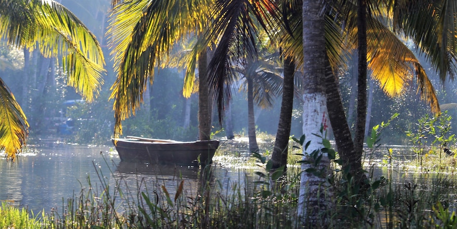 Peace and tranquillity on the Poovar backwaters near Trivandrum in Kerala Early morning birdwatching by boat #nature #travel