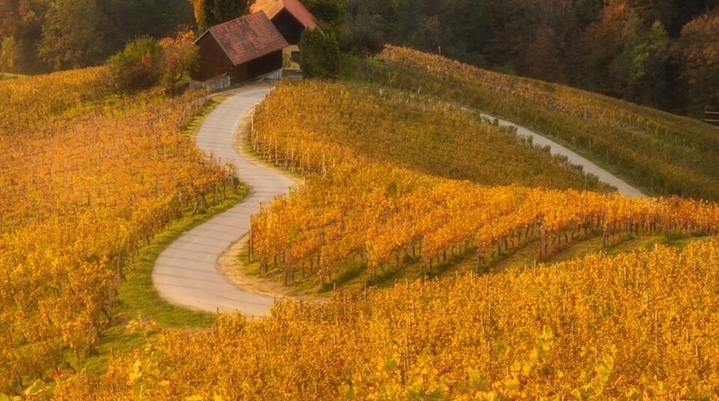 Con đường Rượu vang Styrian, Bang Styria, Áo