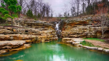At the Top of the Rock there are some incredible sights to be seen at the Lost Canyon Nature Trail.  You can either walk the trail or take a golf cart and stop along the way to take photos or take in the breathtaking scenery. 

#Missouri #USA #bestof5 #colorful