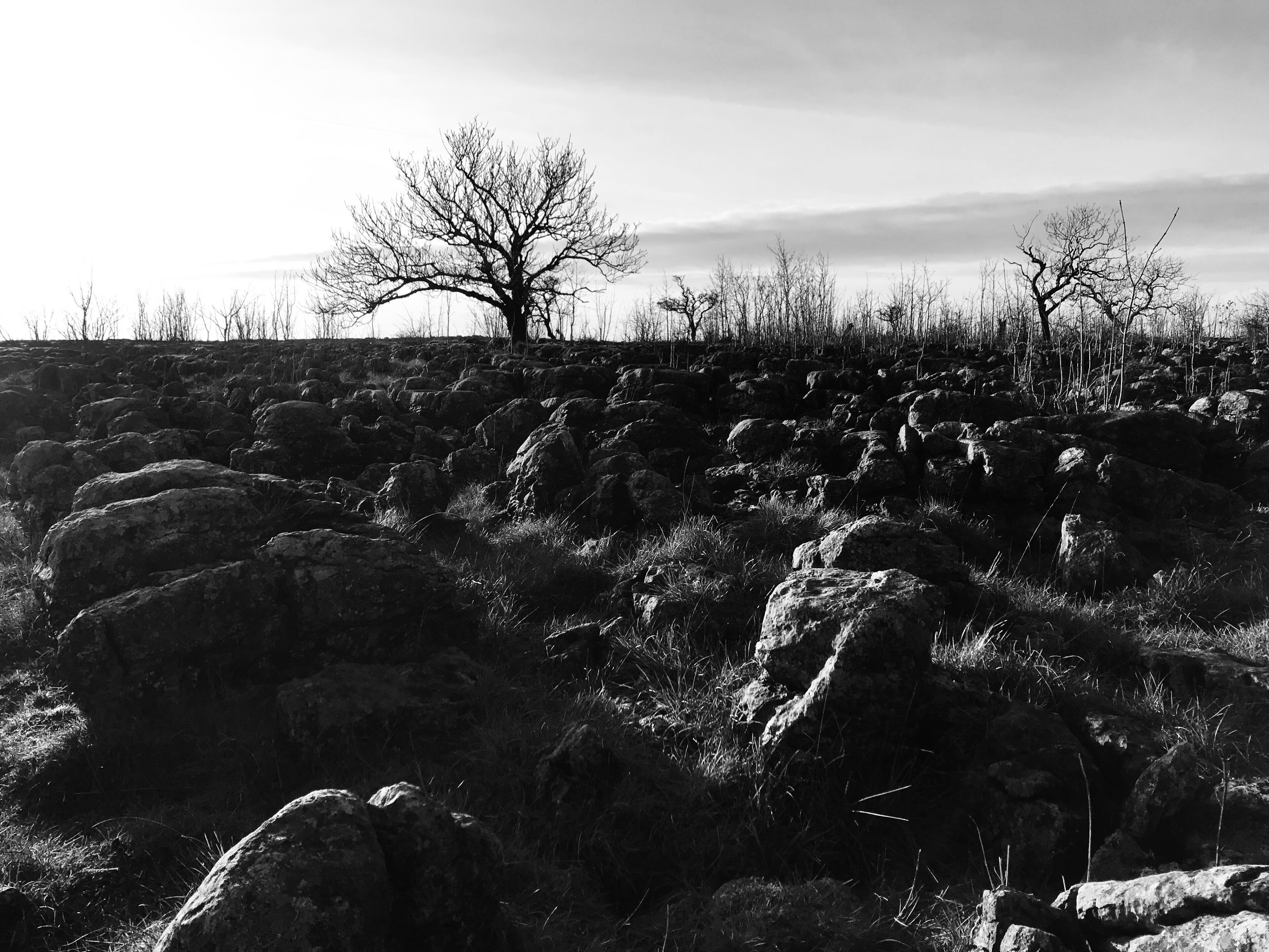 Foto tomada por Jason Abdi