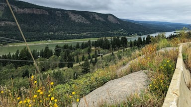 The Fraser River is the longest river in British Columbia, stretching 1,375 km. It begins on the western side of the Rocky Mountains at Mount Robson Provincial Park, and ends in the Strait of Georgia at Vancouver. Named for explorer Simon Fraser, the river was a transportation route and source of food for the Indigenous people of the region long before Fraser travelled its waters. In 1858, gold was discovered on sandbars south of Yale, setting off the Fraser River Gold rush. (September 2019)

#Trovember