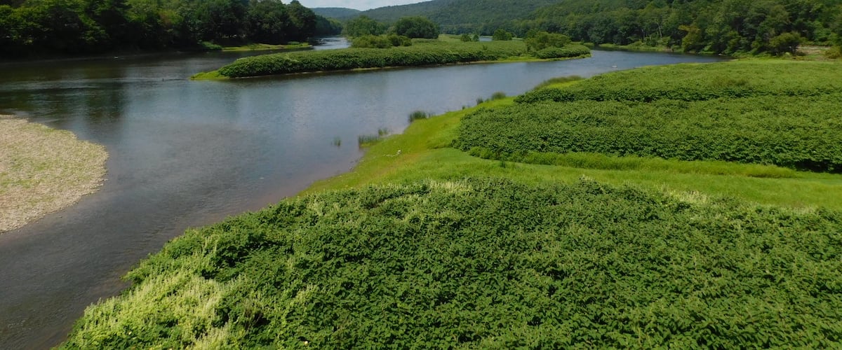 The Upper Delaware Water Gap- The Delaware River at Calicoon, NY.
#Adventure