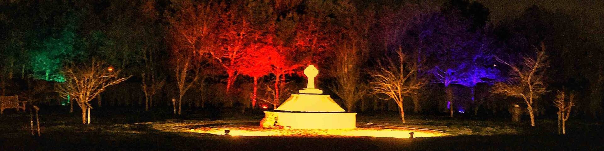 Arboretum illuminations. Magical