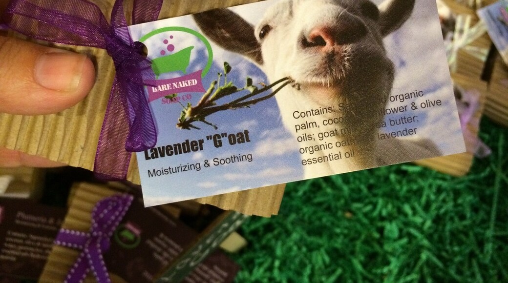 Photo by Kaysha Riggs