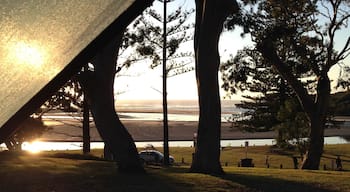 We rocked up here as part of our "Pacific Wanderings Road Trip" -  driving from Sydney to Byron Bay - at night.  This was the view from our tent in the morning.  Stunning!  A great place to stop on a road trip and I wish we could have stayed longer.  Kayaking, surfing, beach, hiking...it has it all.  AND views like this!  #roadtrip #mooneebeach  #camping  #NSW
