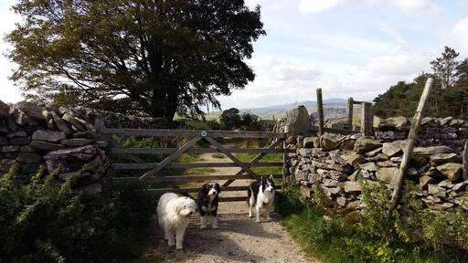 Foto tomada por Catherine Slee