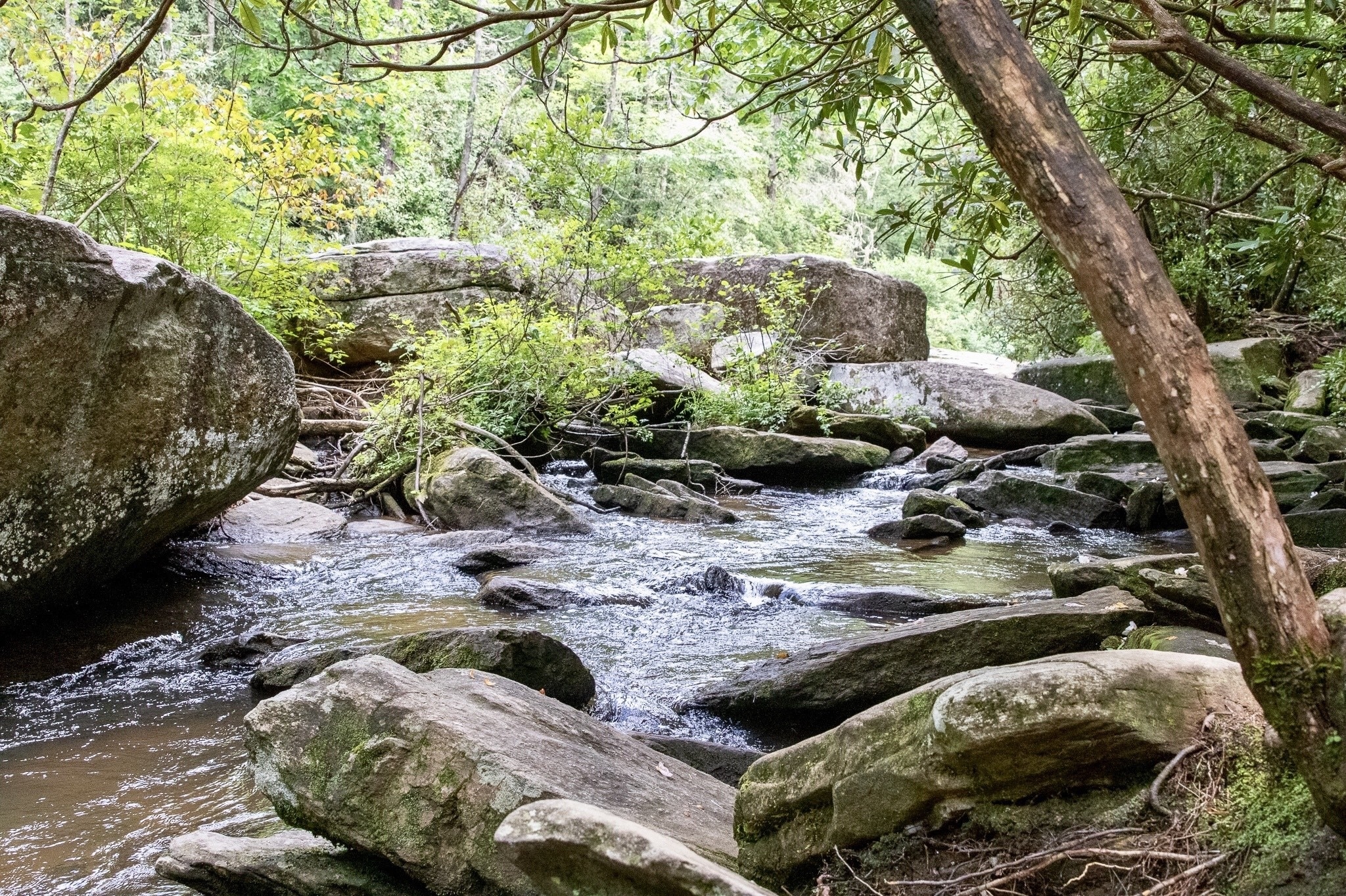 Hendersonville, NC Vacation Rentals cabin rentals & more Vrbo