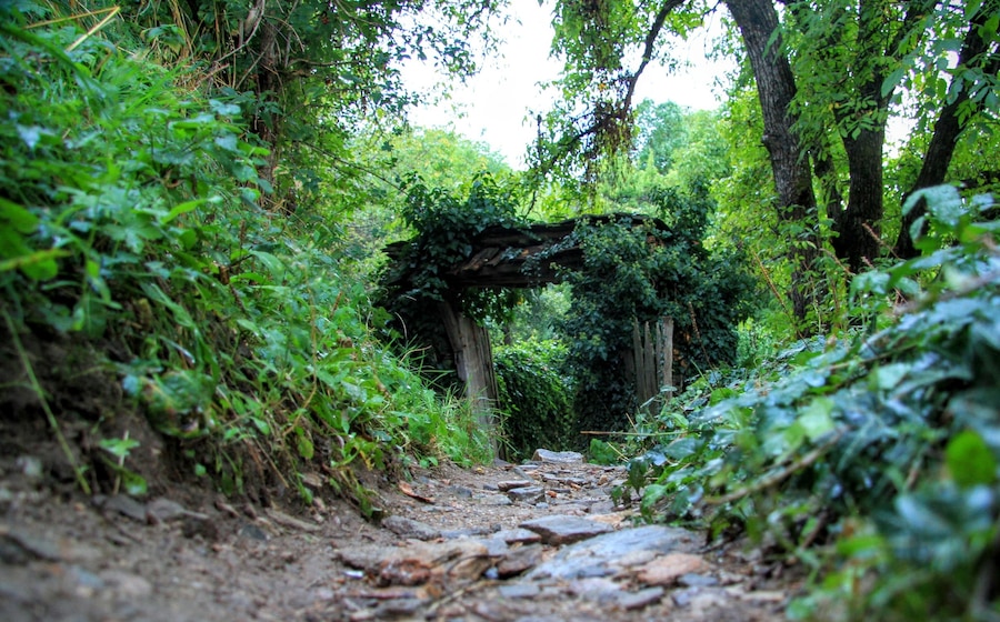 The lost world
