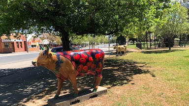 A couple of special cows. There are a lot more in various towns in an around Shepparton Victoria Australia.